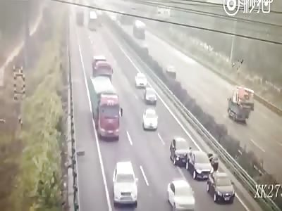 Goats crossing highway cause accidents.