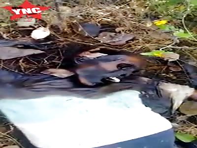 Badly decomposed body with a broken skull found in the woods