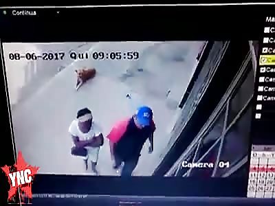 Woman shot dead in the street