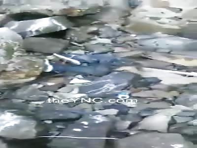 Decomposing body washed up on the shore