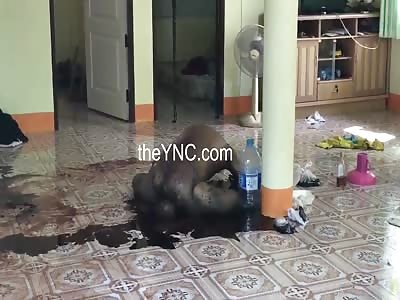 Mans decomposing corpse found after 3 days