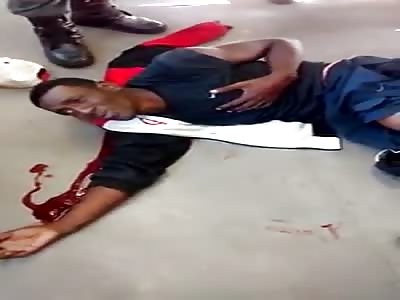 Thief whining after being shot