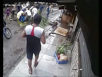 New Shocking Video Shows Woman crushed by a falling tree