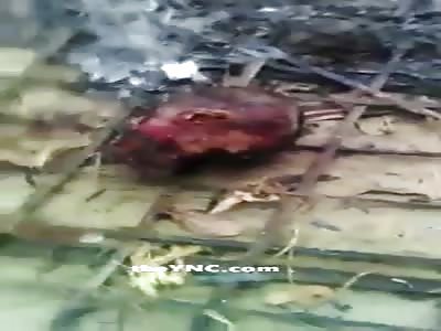 Decapitated Head and Burnt Bodies Left After Army Torch Village