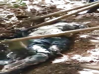 Murder Victims Corpse Pulled from Shallow Grave