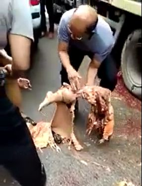 Picking up the Pieces: Nice Gore