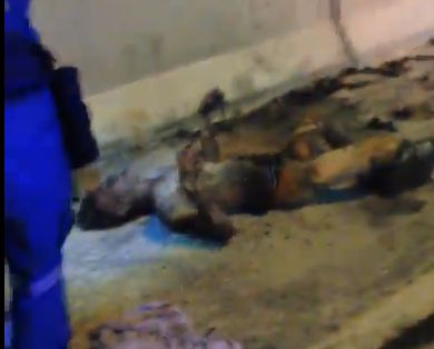 Real Bad Day..... Biker Still Alive in Total Agony Burned From Head to Toe