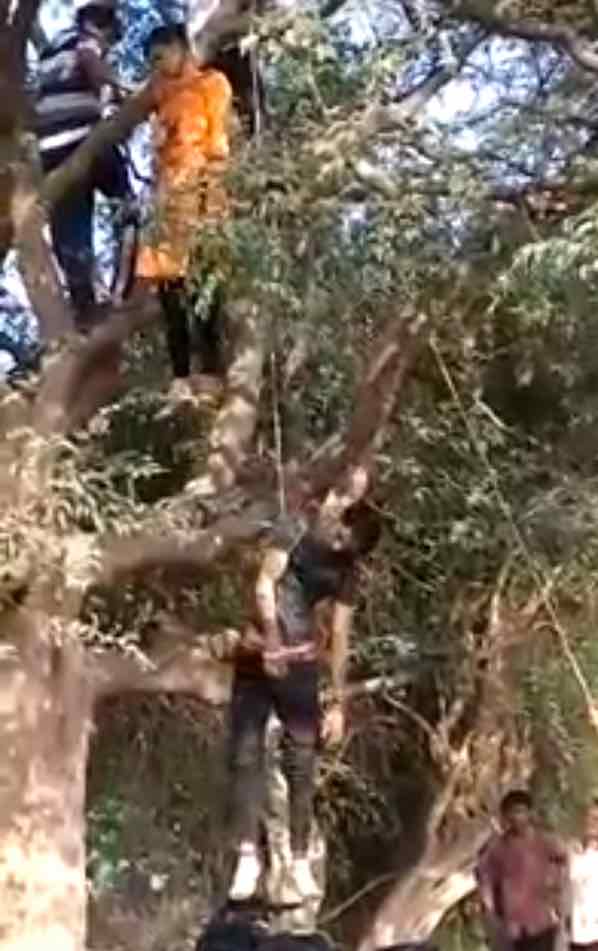 Two Indian Lovers Decided to Tie The Knot