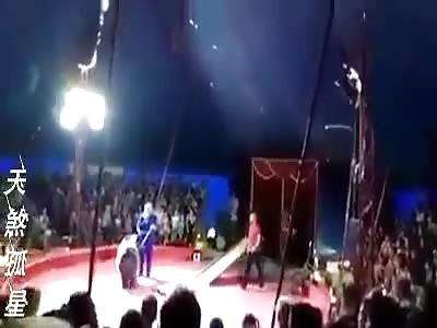 Bear Gets some Revenge on Trainer