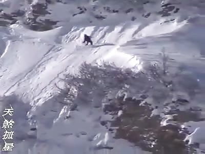 Skier Accident
