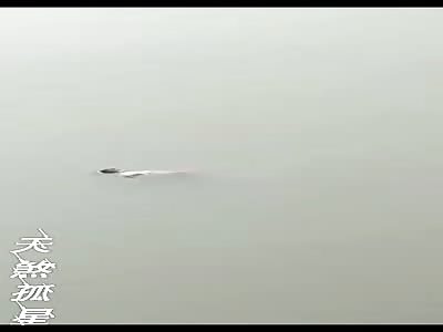 Depressed Bitch Makes a Jump for It (Before and After)