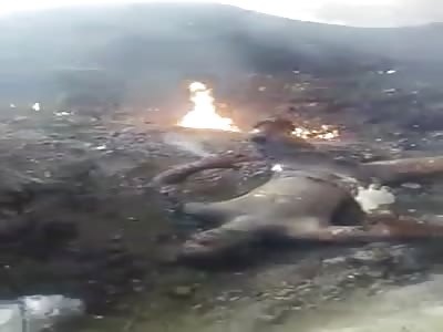 Pilot Burned to a Crisp in Plane Crash