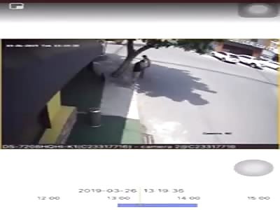 University Student Killed in Hit and Run