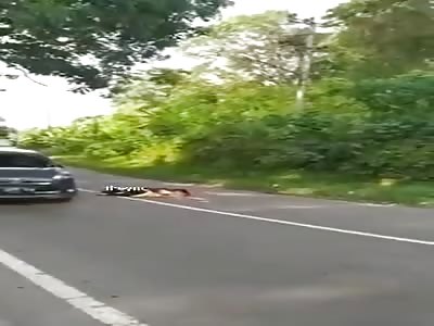 brutal accident