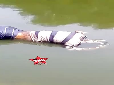 Rotten boddy  in water