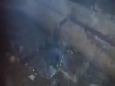 Syrian family killed by air strike