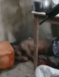 The 2020 Executions Have Started