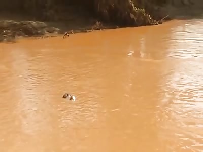 Lifeless body floating in the water