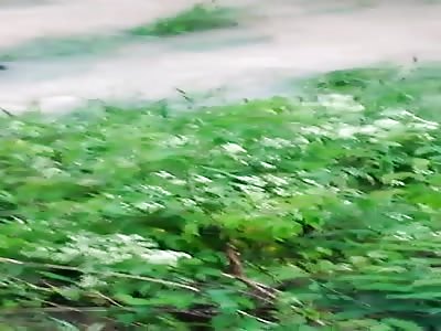 Lifeless body in the water