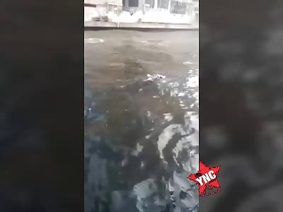 Rotten body floating in the water