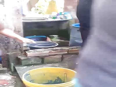 they have killed him damn