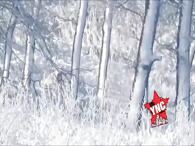 enemy murdered by sniper