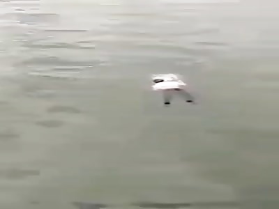 Murdered by drowning by Communist China Hong Kong police. 