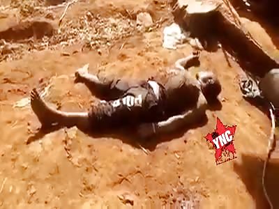 Civilians killed by the military