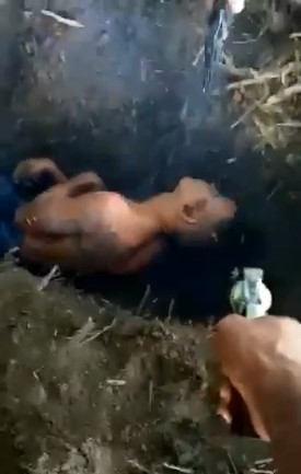 NEW: Forced to Dig His Own Grave, then Shot