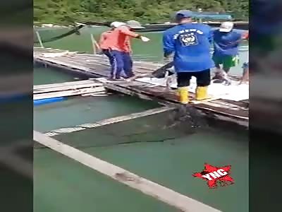 Man drowns, rotting body