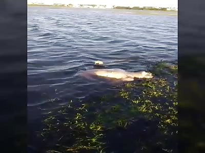 A body was found at the SÃ£o TomÃ© lighthouse later that afternoon.