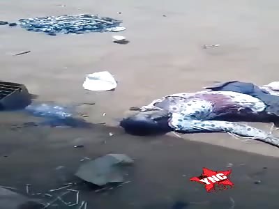 The civil war in cameroon continues