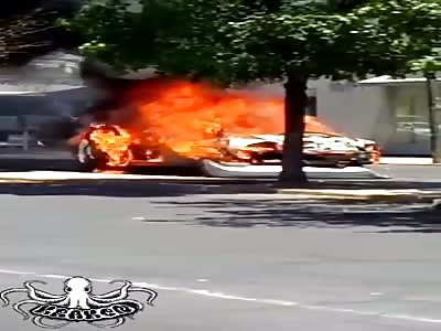 meanwhile in culiacan Sinaloa Mexico