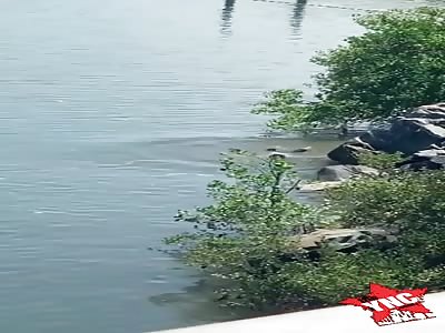 the man dies of a strong blow to the head