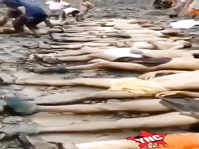 at least 33 people die from landslide