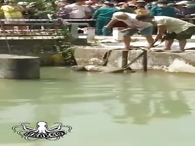 rotting body found in water