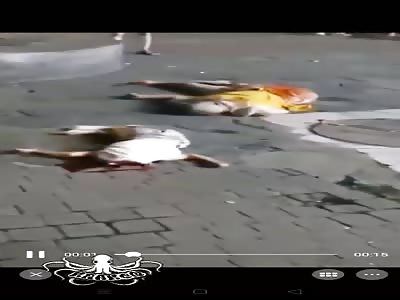 family suicide, mother jumps with her son, from a building