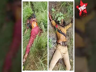 rotting bodies found in the forest