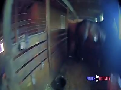 Hilltown Police Officers Rescue Horse From Fire