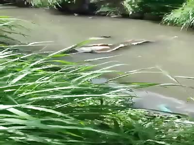 corpse of man found in sewage