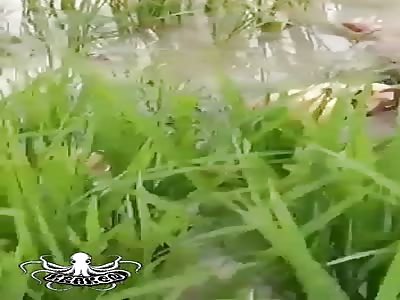 21-year-old Ajit Kumar Roy, found in a rotten state