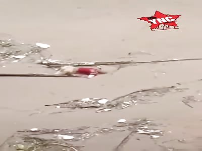 rotten corpse floating in the water