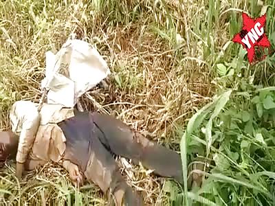 civilian killed in cameroon