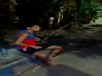 Damn, damn punishment dog