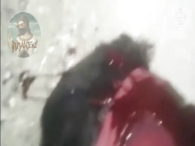 Isis execution,war compilation 