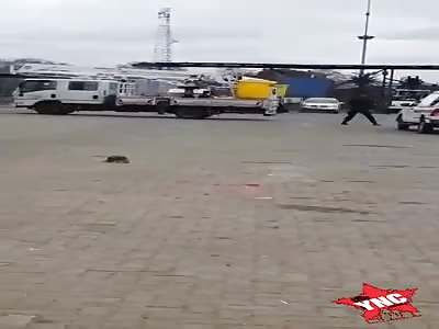 City Power Subcontractor Goes on Rampage After Wage Dispute (Extended Version) 