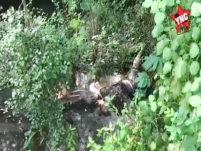 Corpse of woman found in water