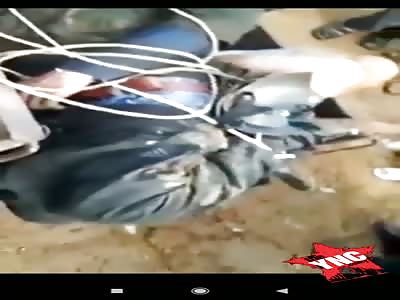 Men were beaten to death