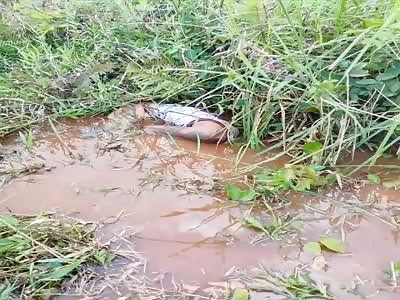 Double homicide, shot to death