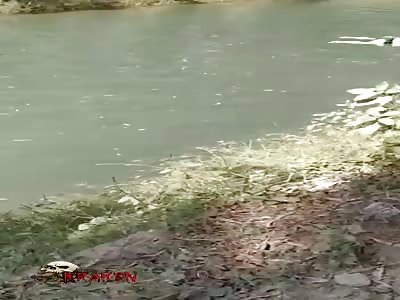 Corpse floating in the water